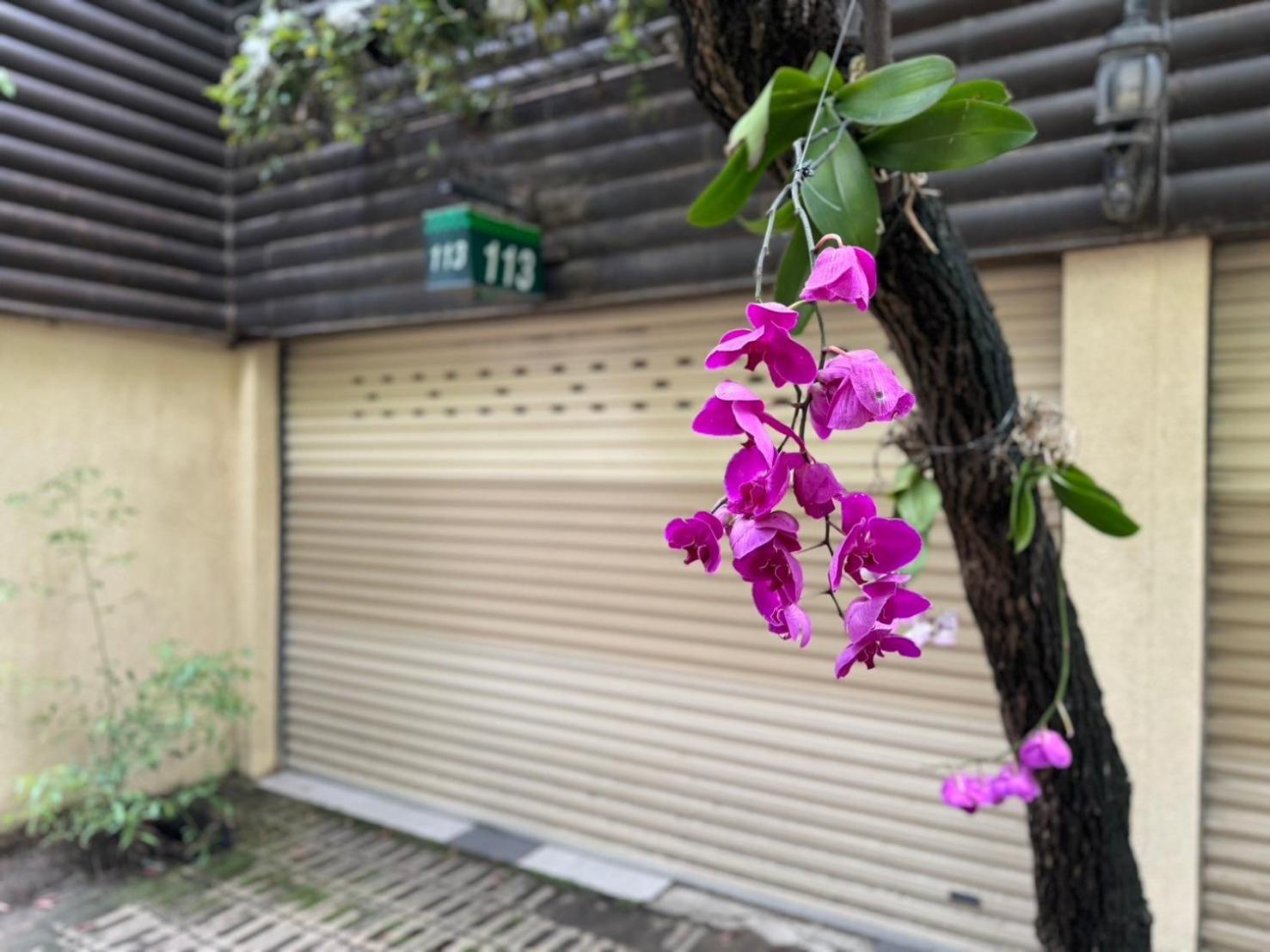 Ivy Motel Kota Chiayi Bagian luar foto